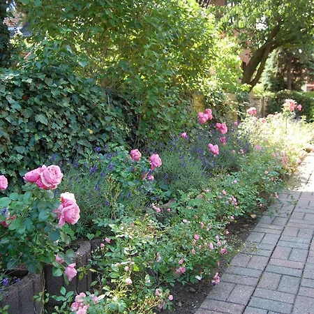 Apartmán Schoenes-wohnen-am-suedstrand-fewo-7